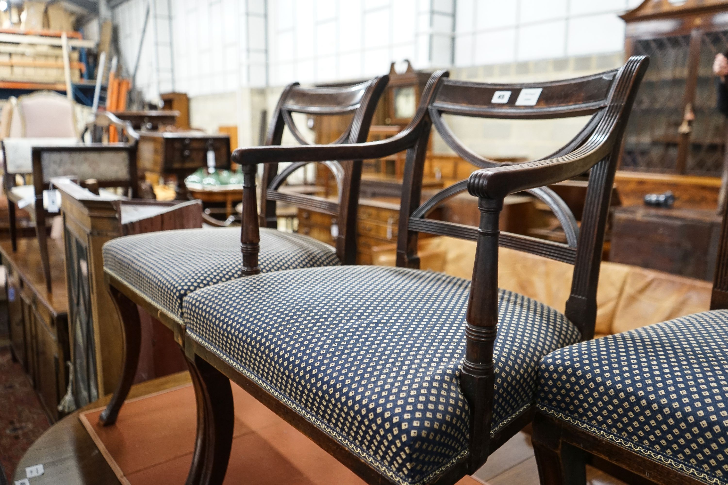 A set of five Regency mahogany dining chairs, (one with arms, four single)